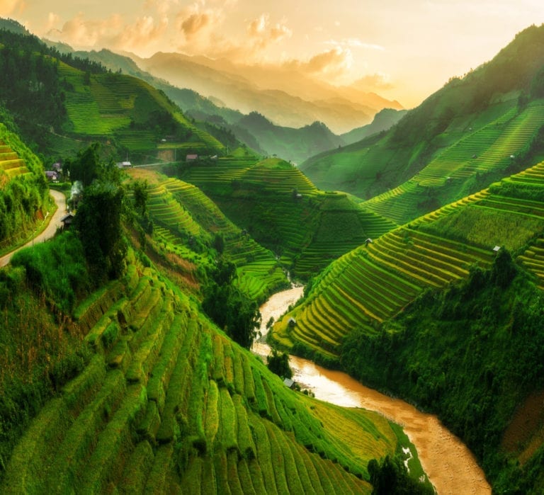 Vietnam grass mountains