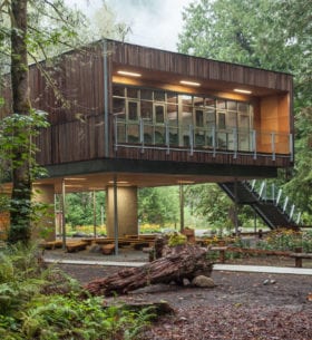Modern wooden tree house