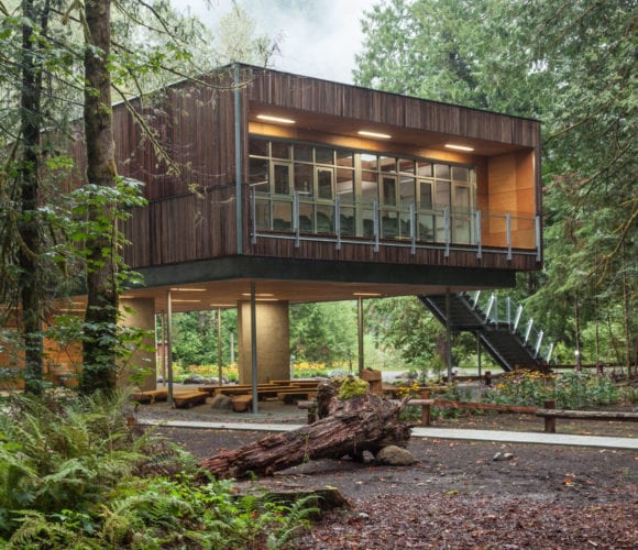 Modern wooden tree house