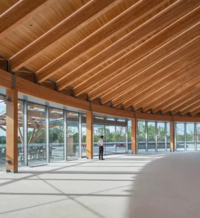 Spacious interior of a mass timber building with exposed wooden beams, floor-to-ceiling glass walls, and abundant natural light casting shadows on the floor. A person stands near the windows, and trees are visible outside.
