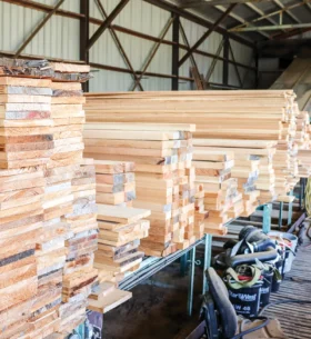 Stacks of cut lumber drying on racks inside a sawmill or wood-processing facility, with rows of boards extending through the building.