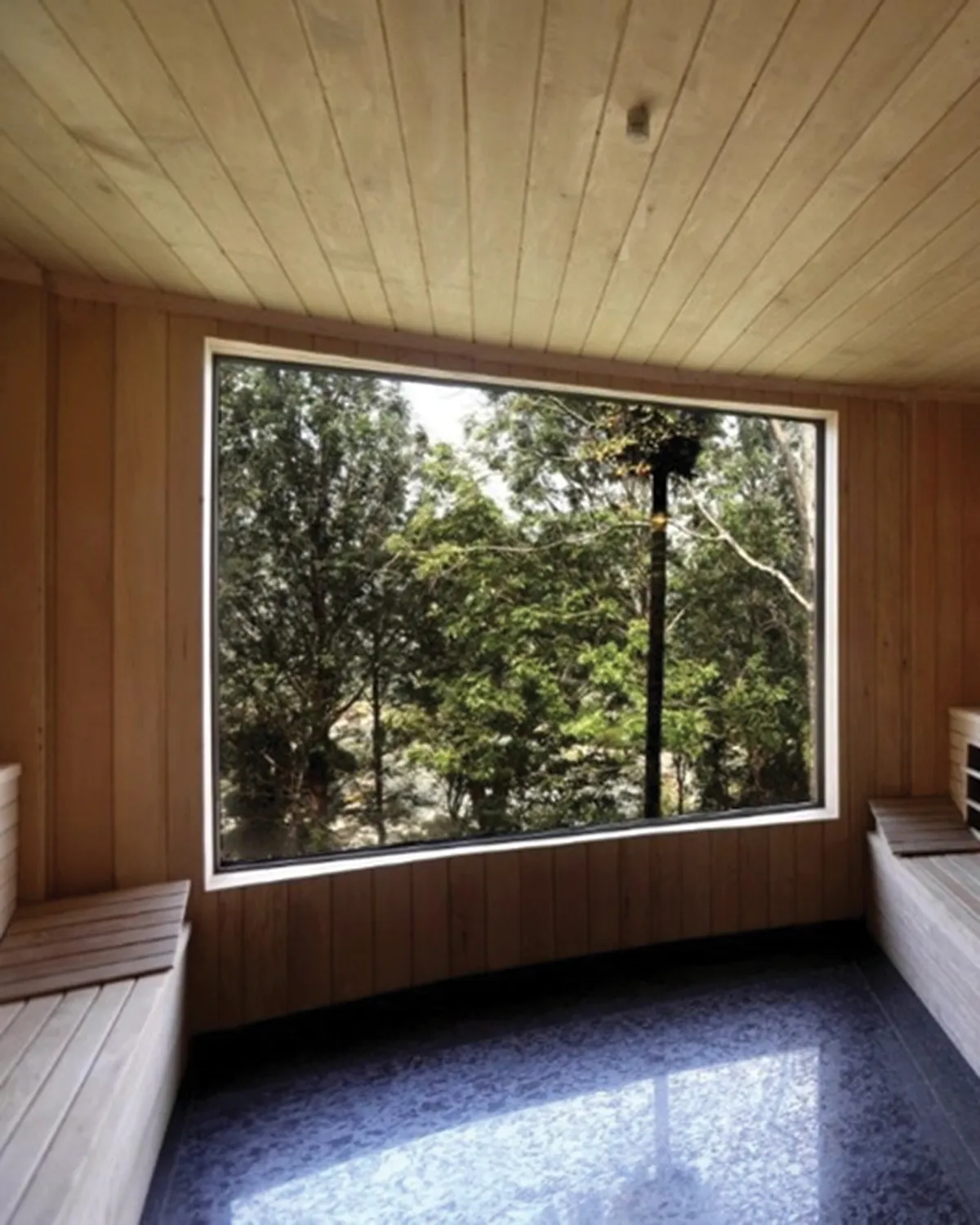 Wood sauna with bench seating and a large window overlooking trees, creating a strong visual connection to the surrounding forest.