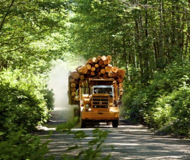 Logging truck driving through a BC forest.