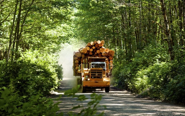 Logging truck driving through a BC forest.