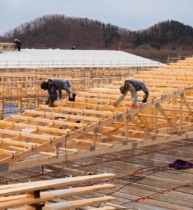 Erimo Pig Farm, Hokkaido prefecture | Photo: Hokkaido Chuo Bokujyo