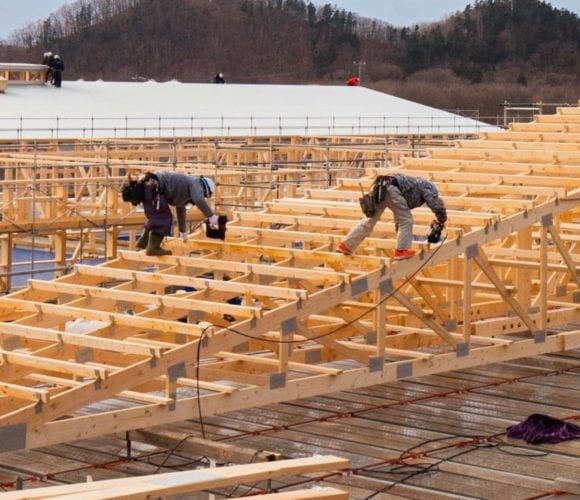 Erimo Pig Farm, Hokkaido prefecture | Photo: Hokkaido Chuo Bokujyo