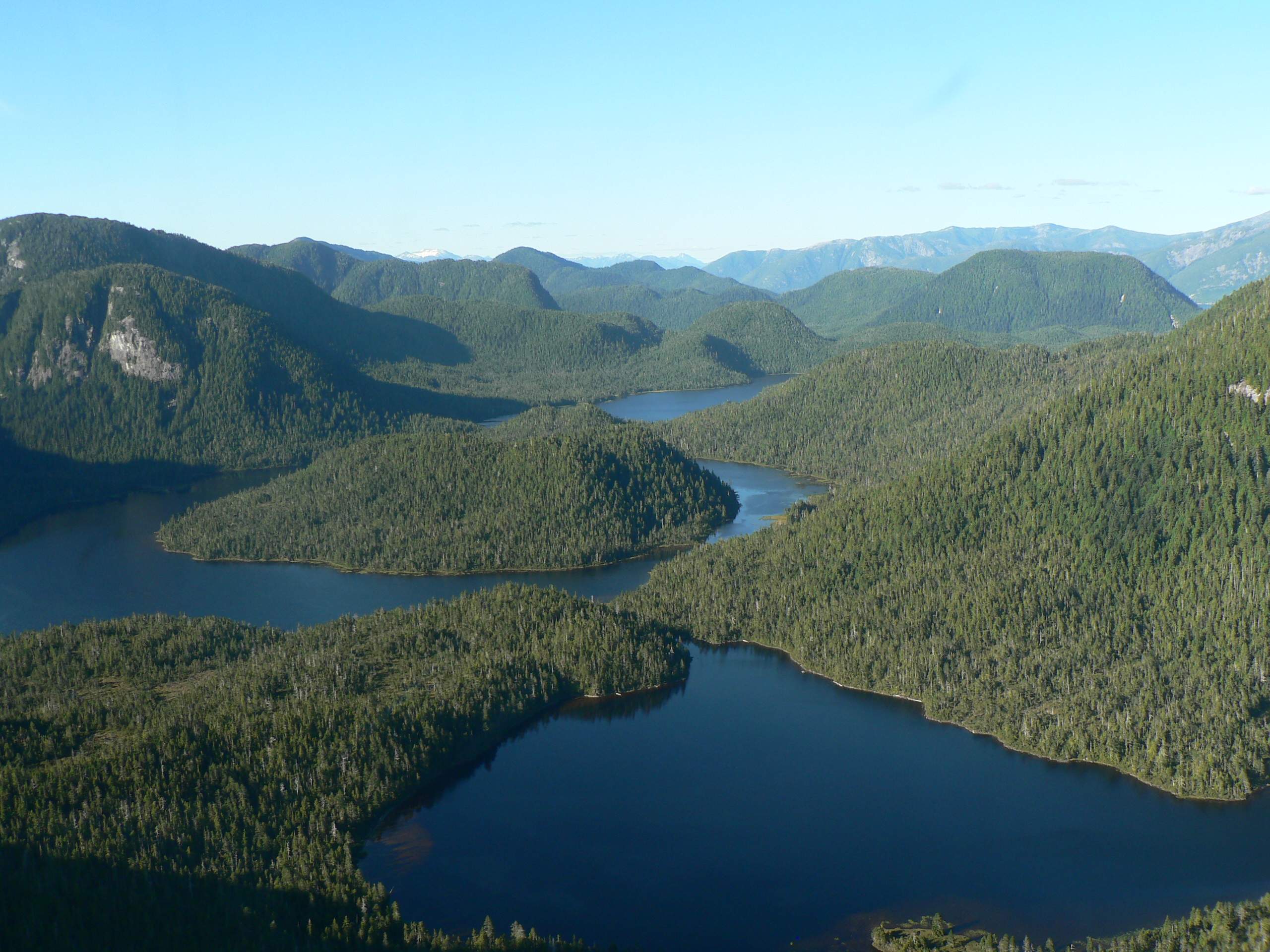 B.C. invests $8 million to advance wood and grow global markets